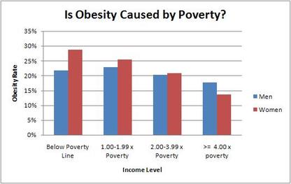 socioeconomic status and obesity